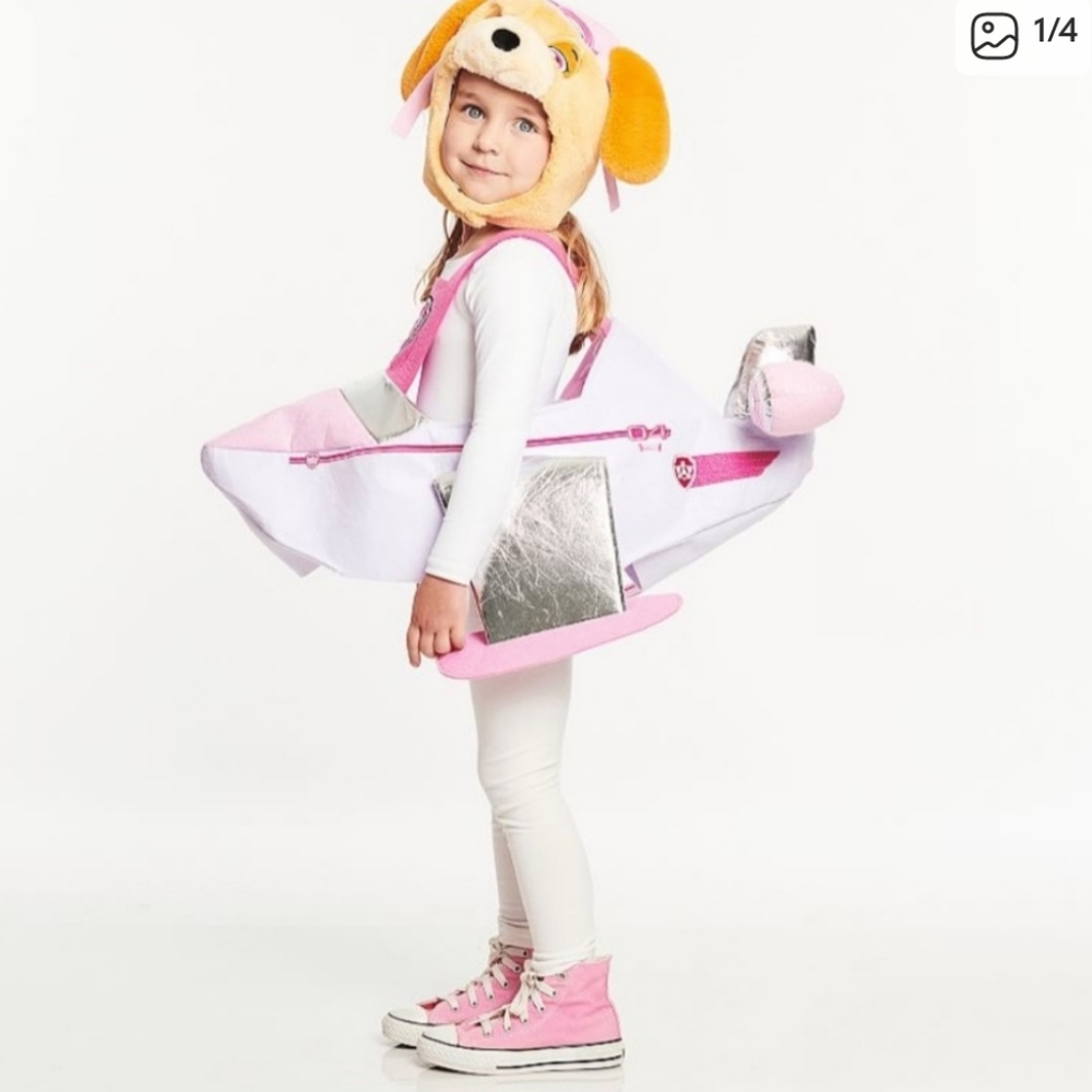 Pottery Barn Kids Pink and Silver Pilot Costume